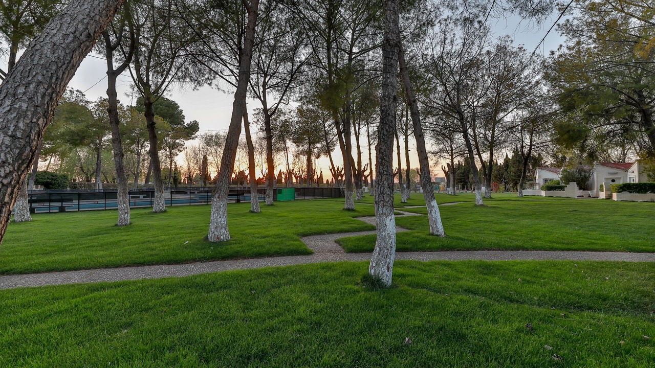Photo of Outdoor in Manzanares