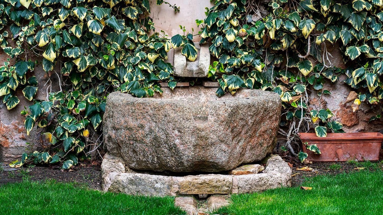Photo of Outdoor in Manzanares