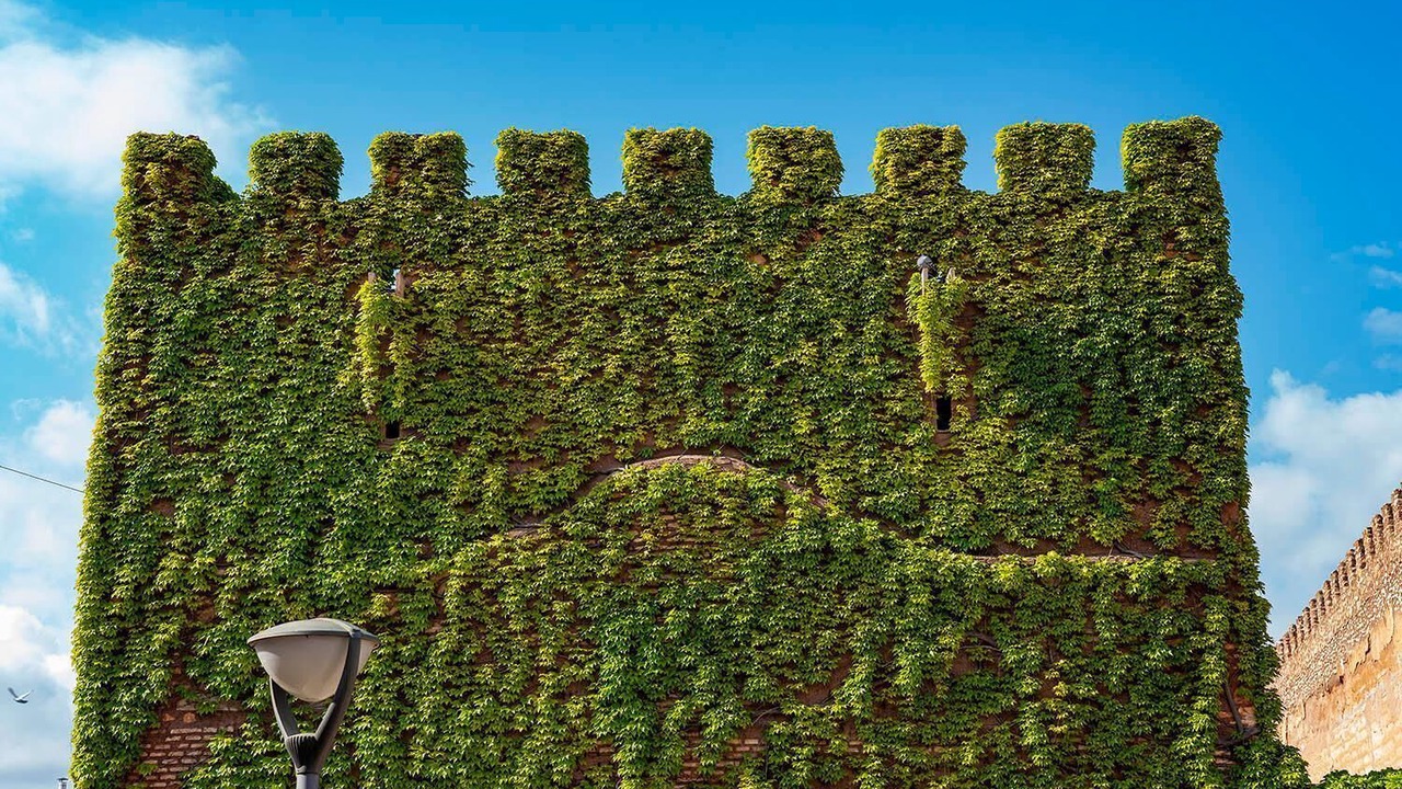 Photo of Outdoor in Manzanares