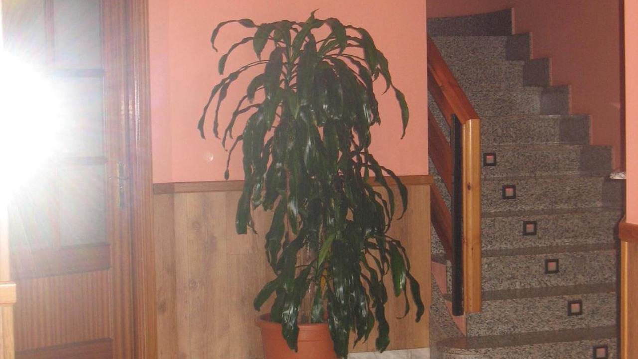 Photo of Others in Santa Maria del Paramo