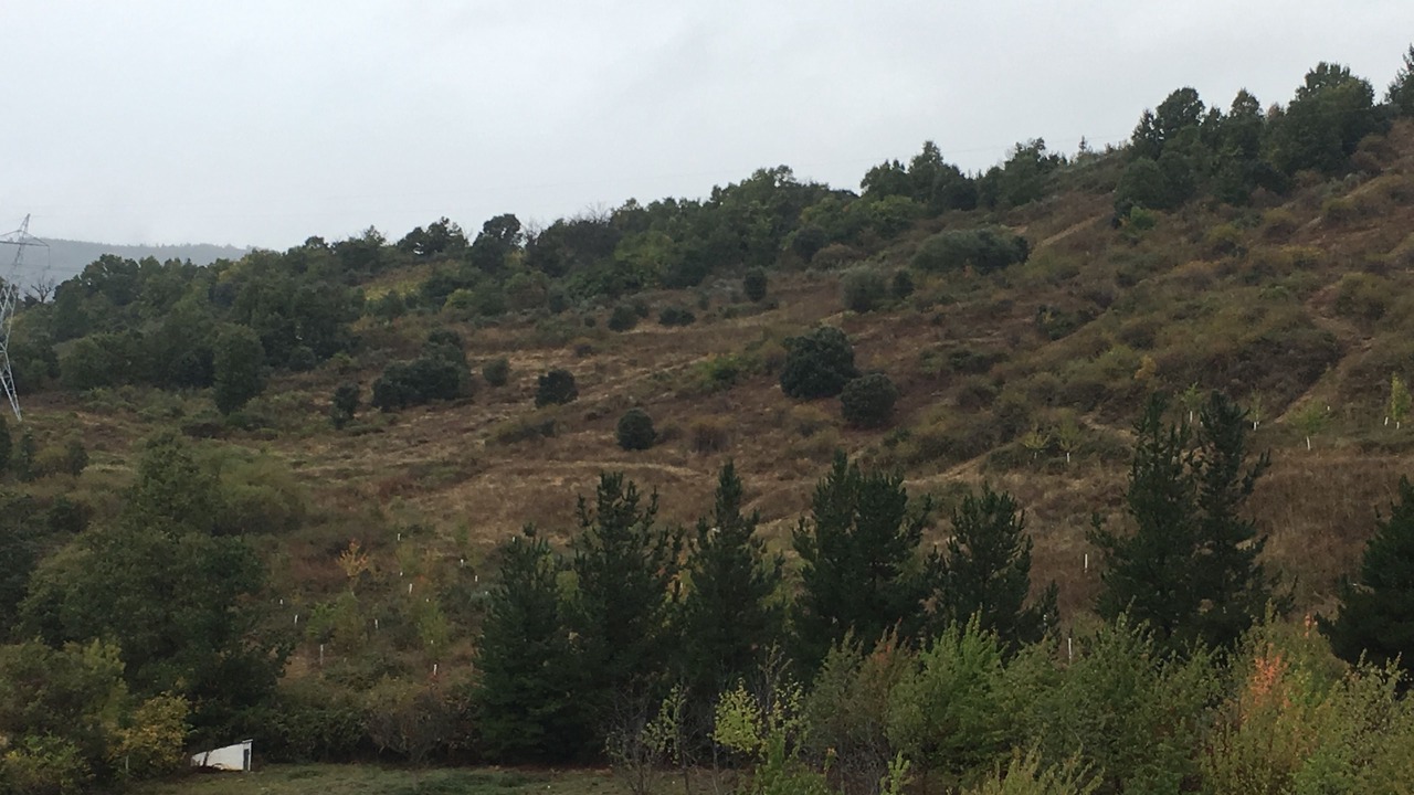 Photo of Others in Bembibre