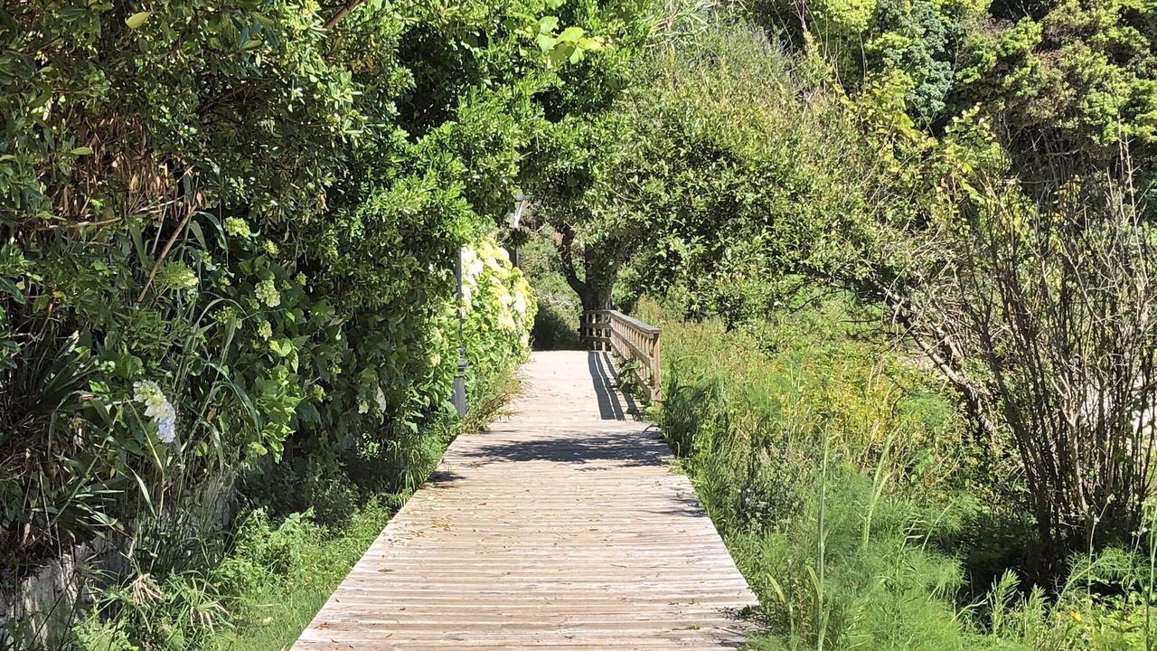 Photo of Outdoor in Sardinero