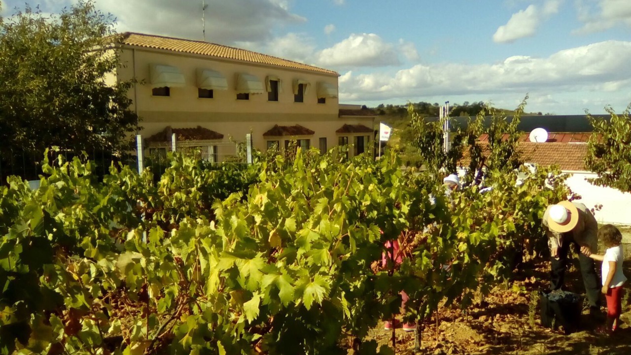 Photo of Outdoor in Masueco