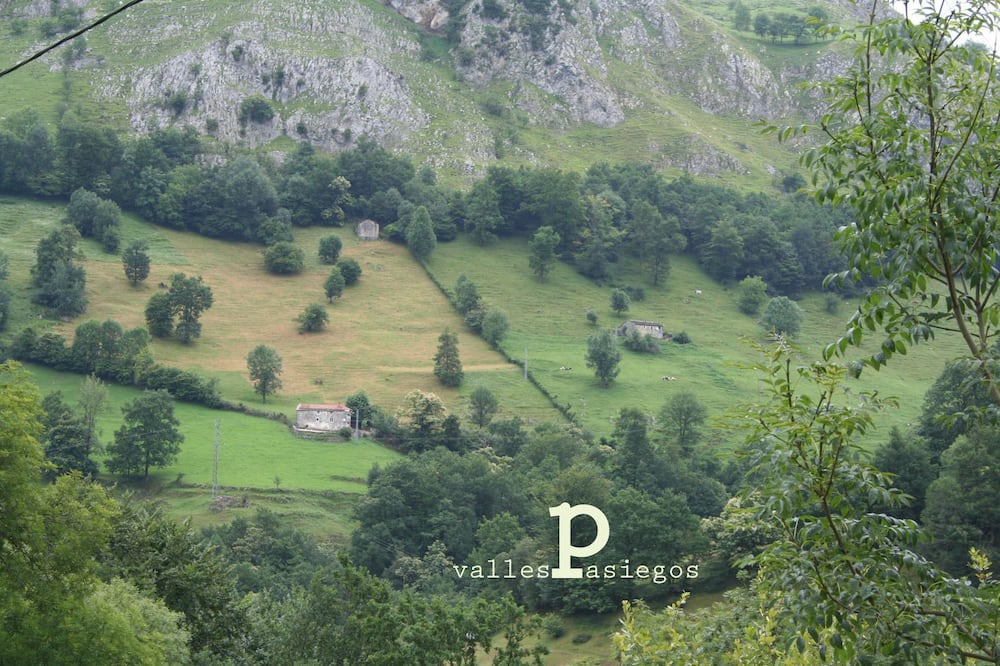 Photo of Others in Queveda
