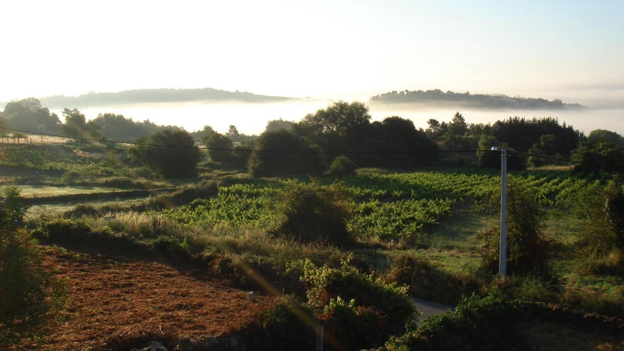 Photo of Outdoor in Panton