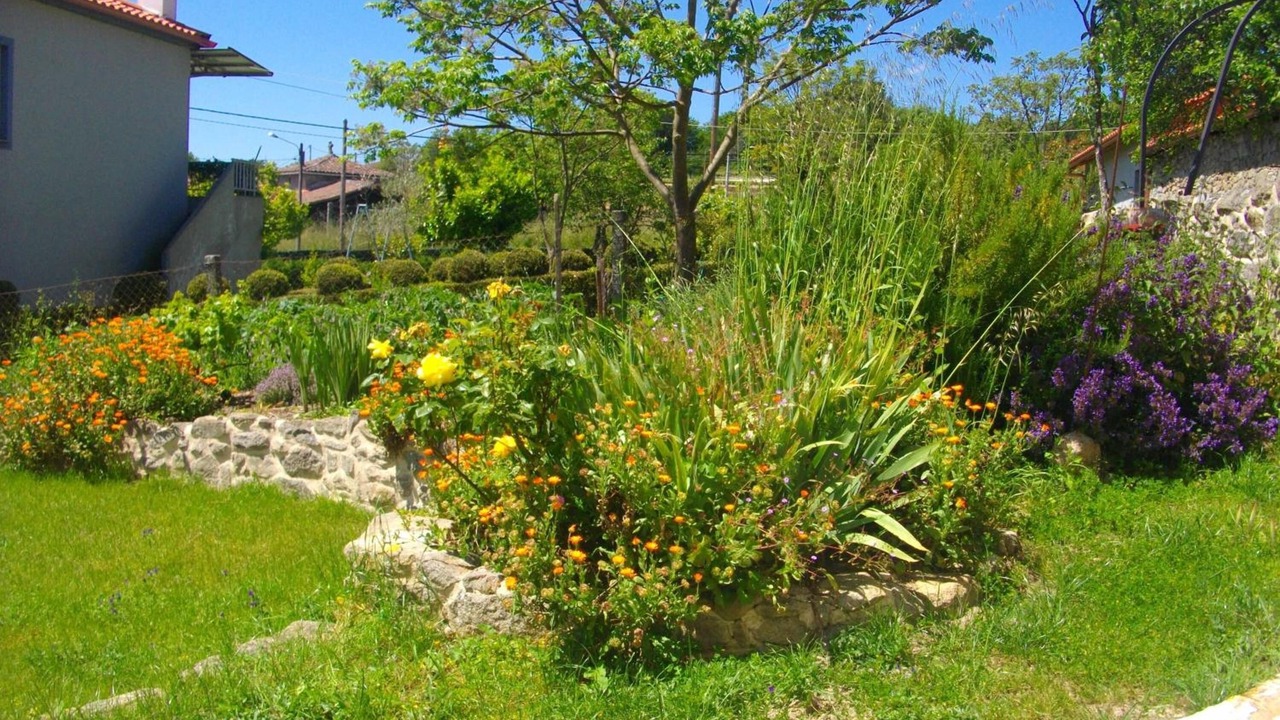 Photo of Outdoor in Panton