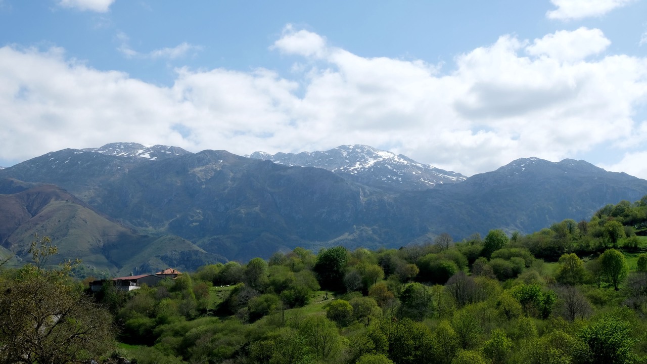 Photo of Outdoor in Puente Nuevo