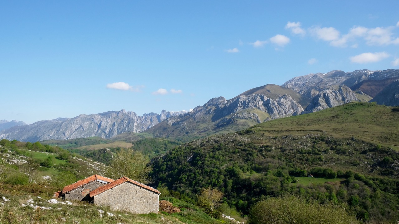 Photo of Outdoor in Puente Nuevo
