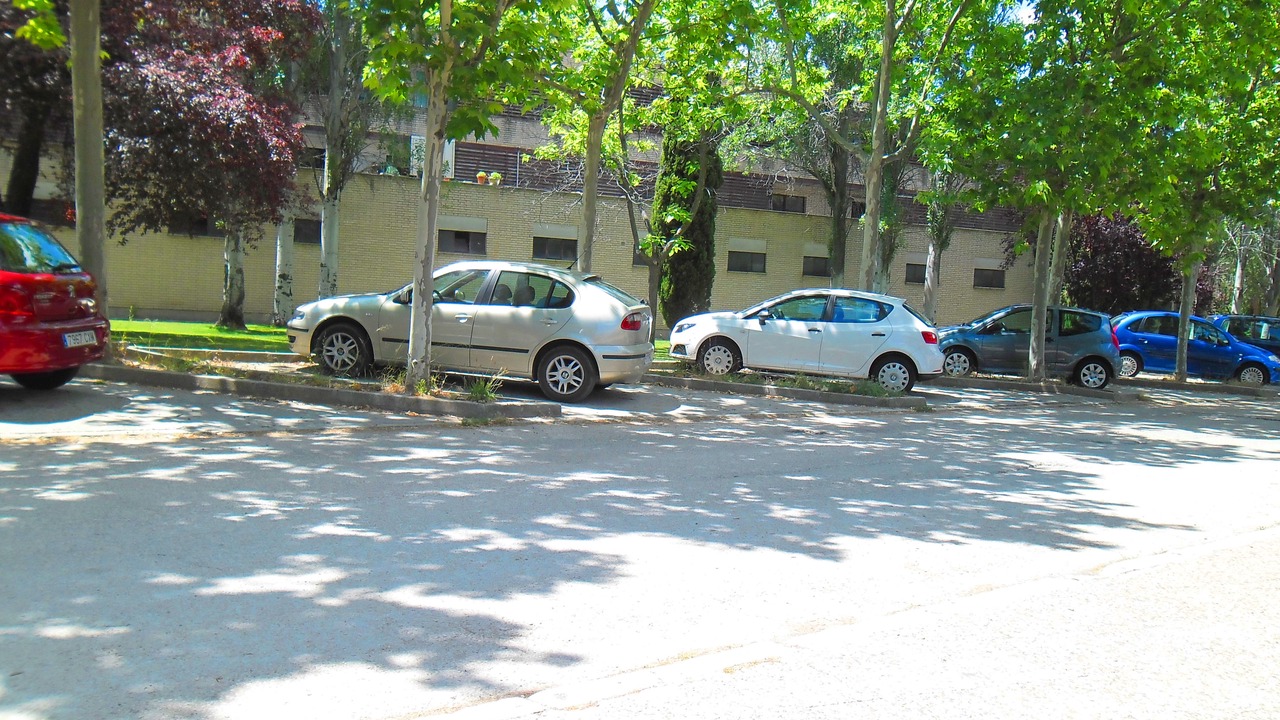 Photo of Others in Fuencarral-El Pardo