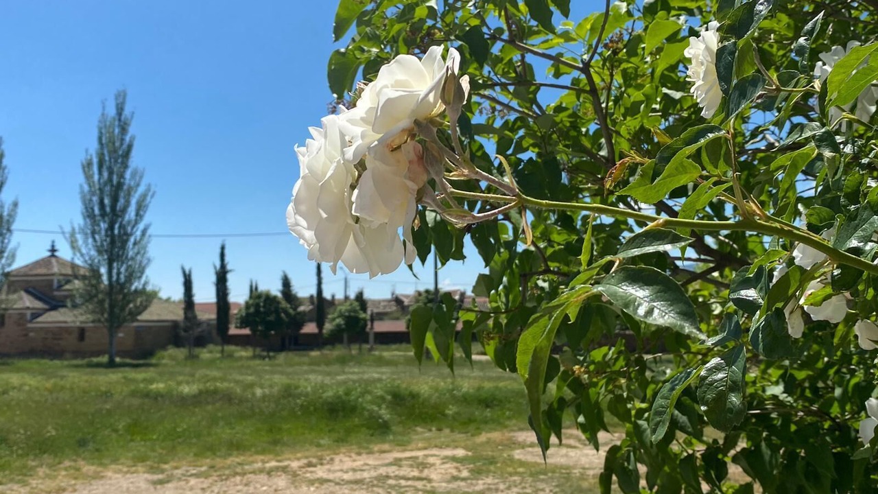 Photo of Outdoor in Luyego