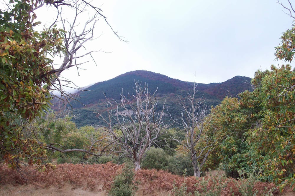 Photo of Outdoor in Genevilla