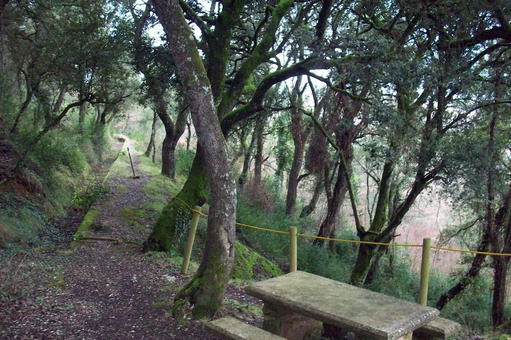 Photo of Outdoor in Genevilla