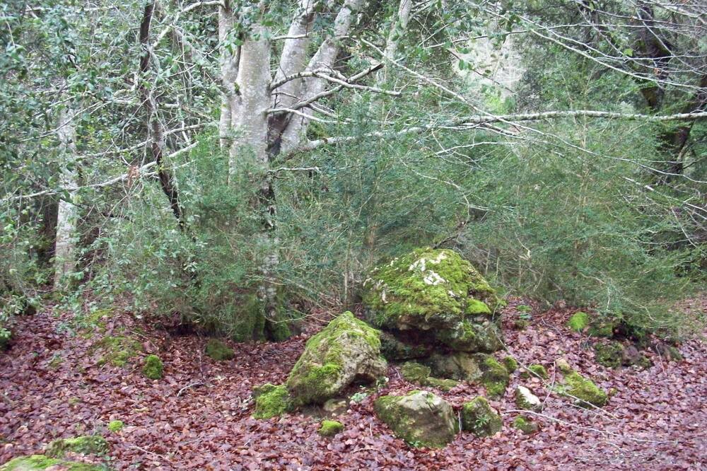 Photo of Outdoor in Genevilla
