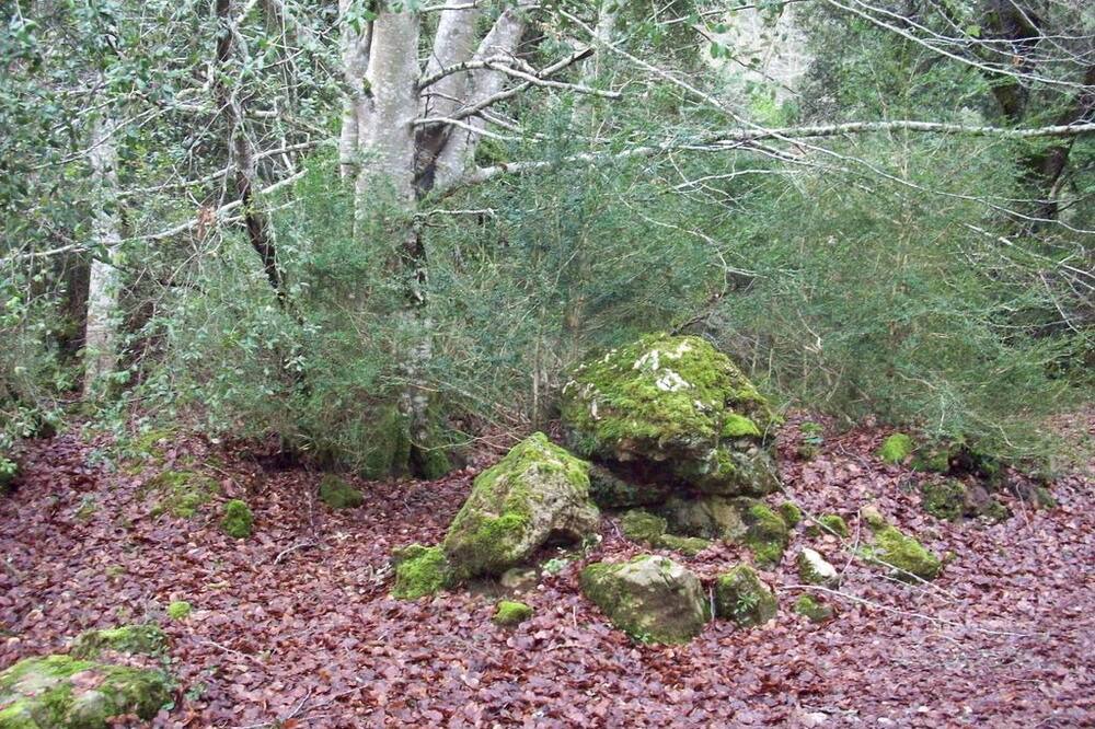 Photo of Outdoor in Genevilla