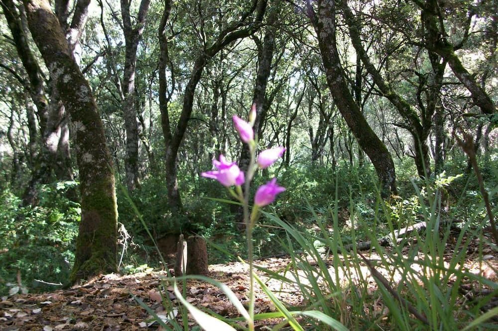 Photo of Outdoor in Genevilla