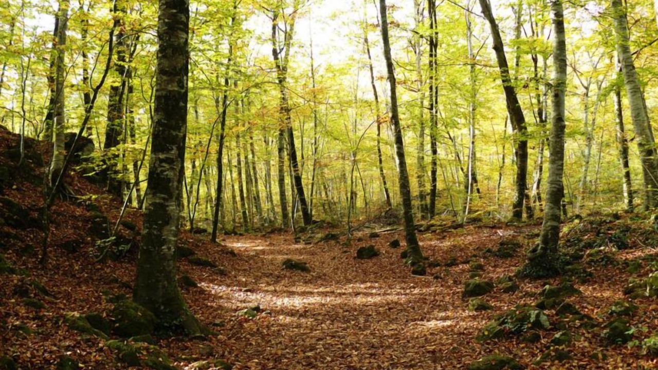 Photo of Outdoor in Tortella