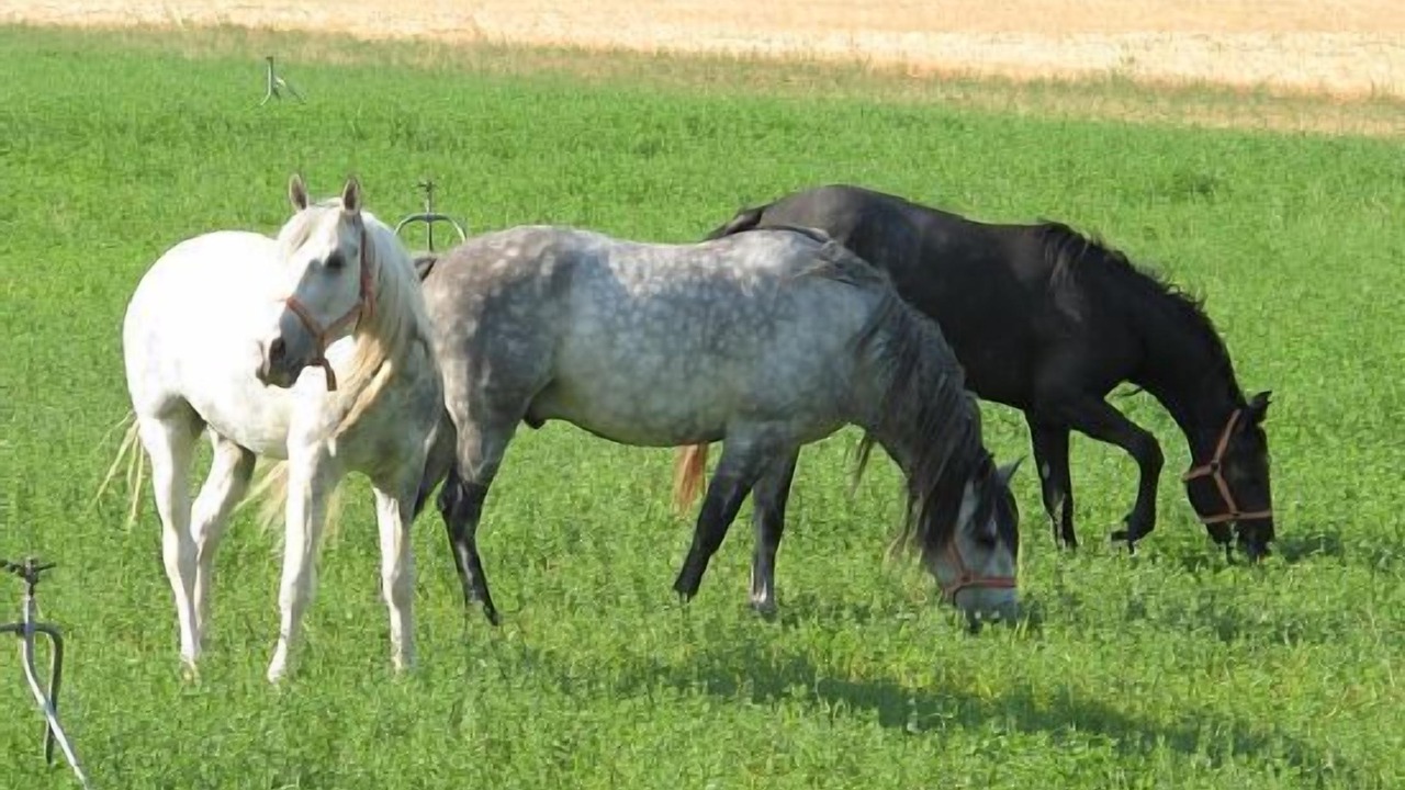 Photo of Outdoor in Moratalla