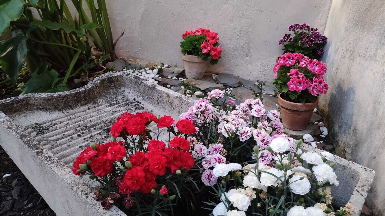Photo of Outdoor in Malpartida de Plasencia