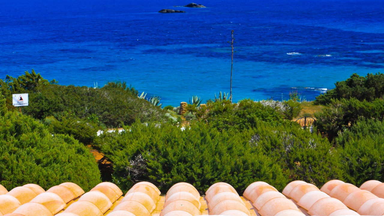 Photo of Others in Es Figueral Beach