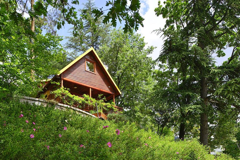 Photo of Outdoor in Navacerrada