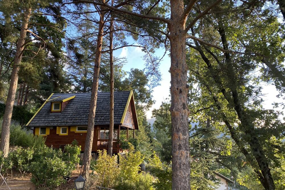 Photo of Others in Navacerrada