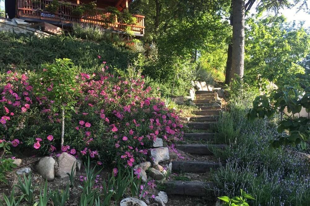 Photo of Outdoor in Navacerrada