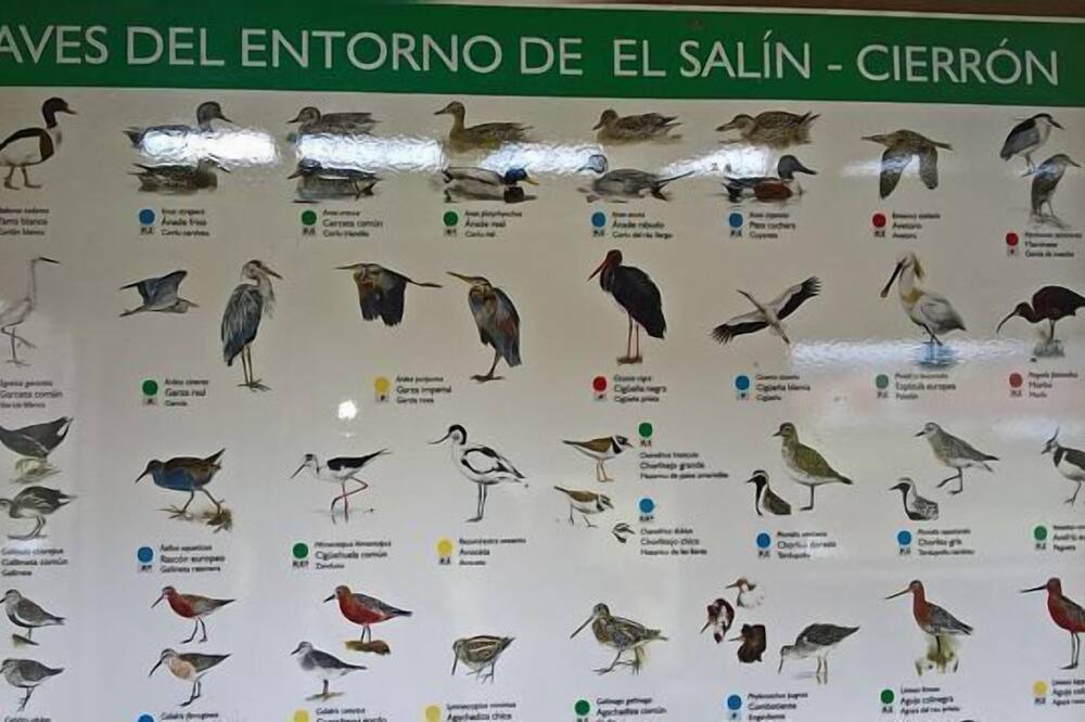 Photo of Others in Tornon