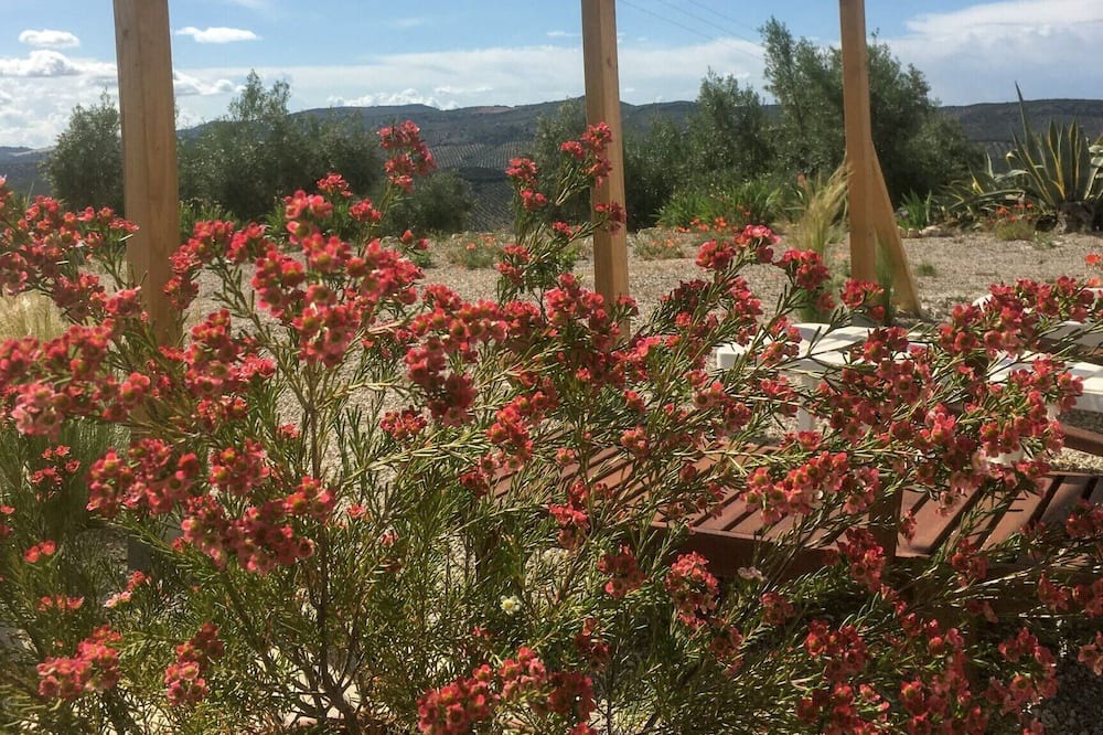 Photo of Outdoor in Moclin