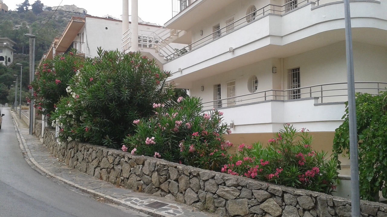 Photo of Buildings in Roses Town Center