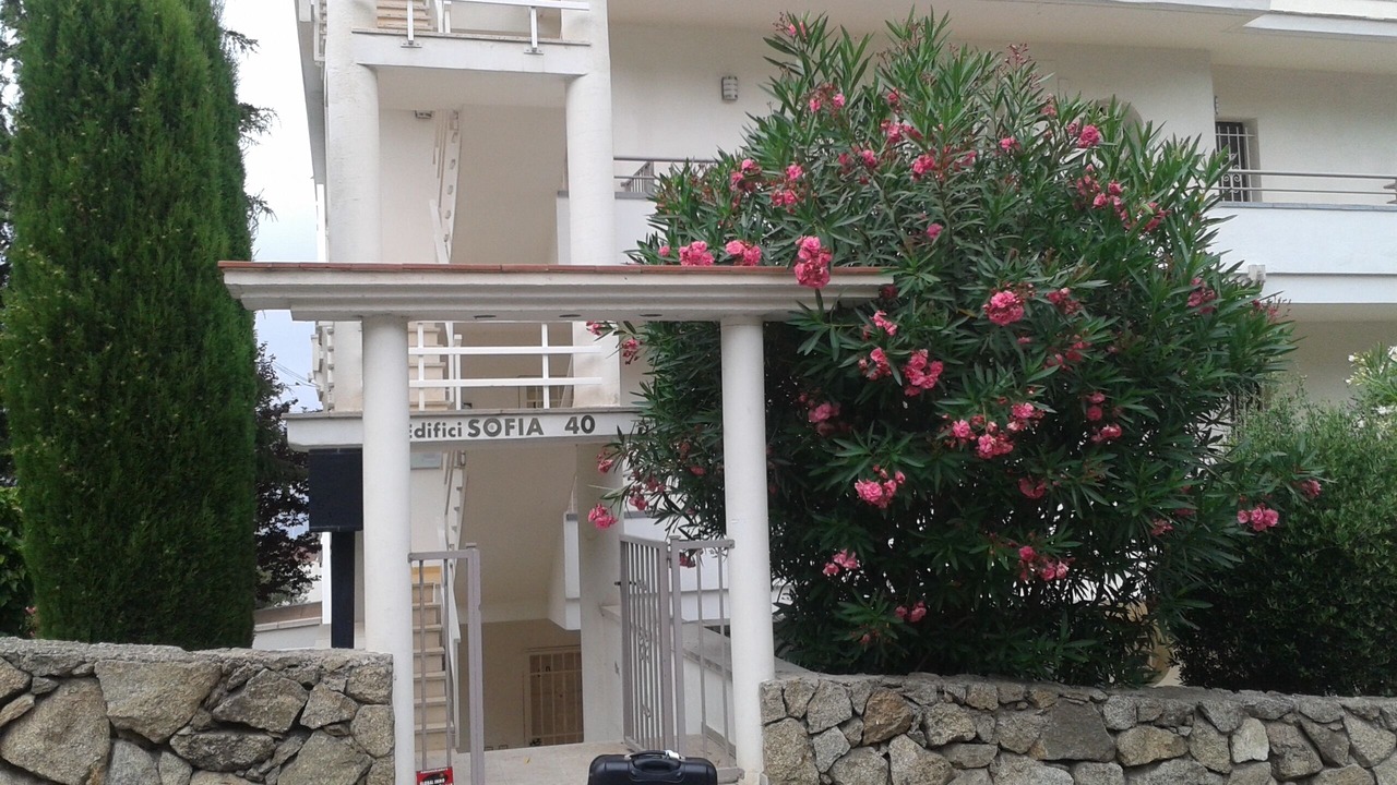 Photo of Buildings in Roses Town Center