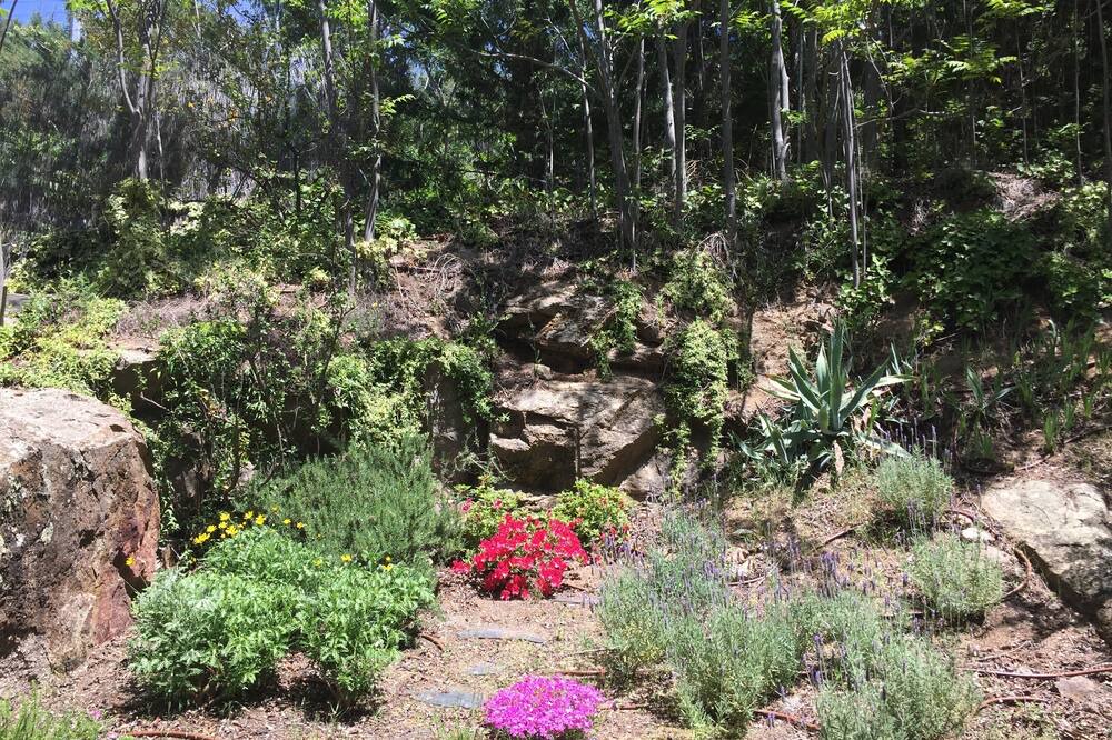 Photo of Outdoor in El Barraco