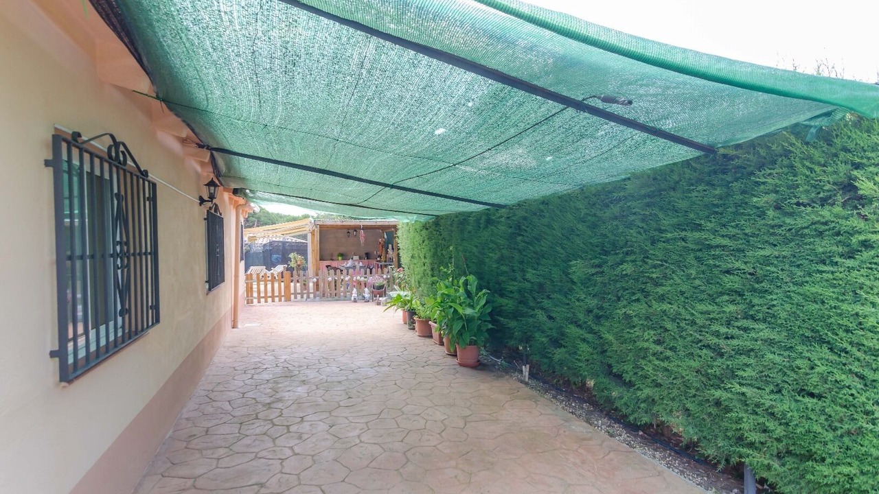 Photo of Outdoor in La Goba