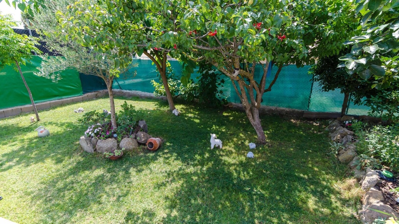Photo of Outdoor in La Goba