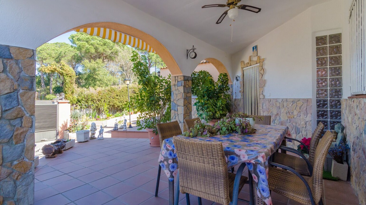 Photo of Outdoor in La Goba