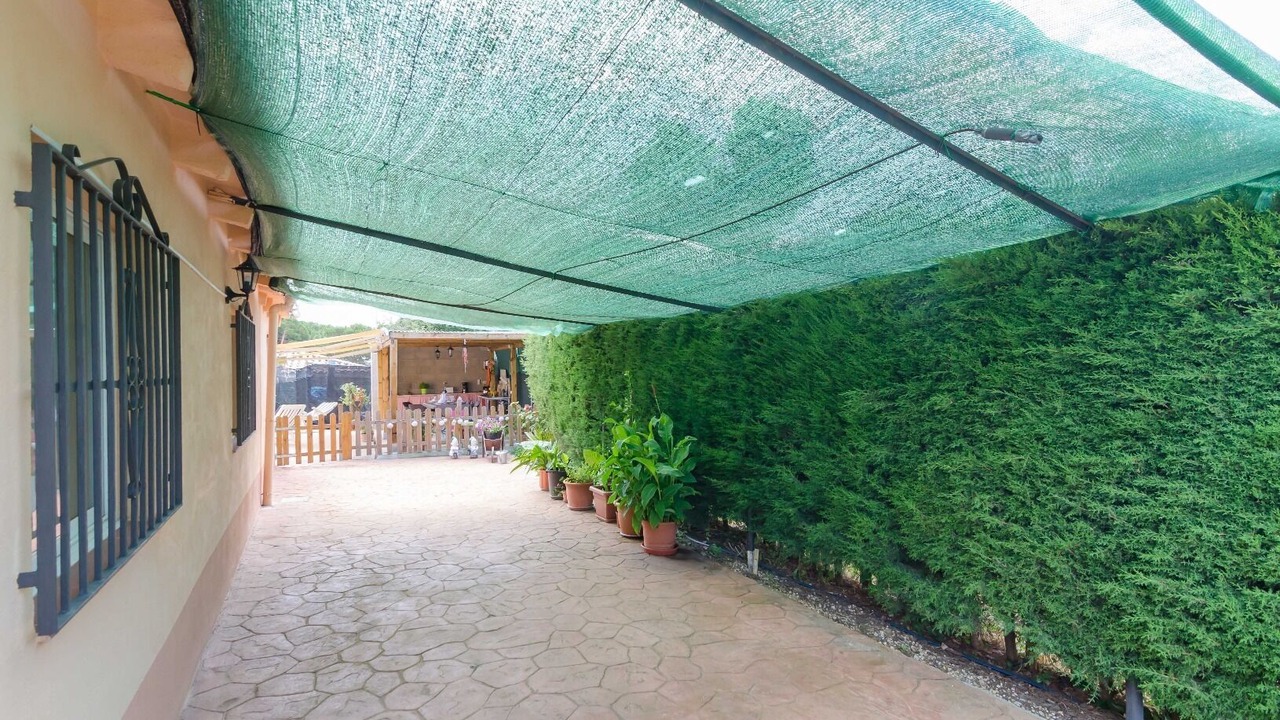 Photo of Outdoor in La Goba