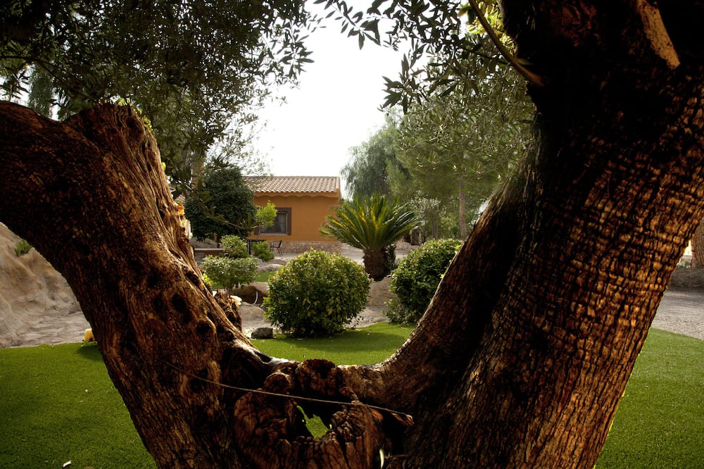 Photo of Outdoor in La Murta