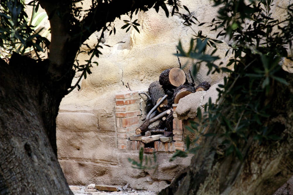 Photo of Others in La Murta