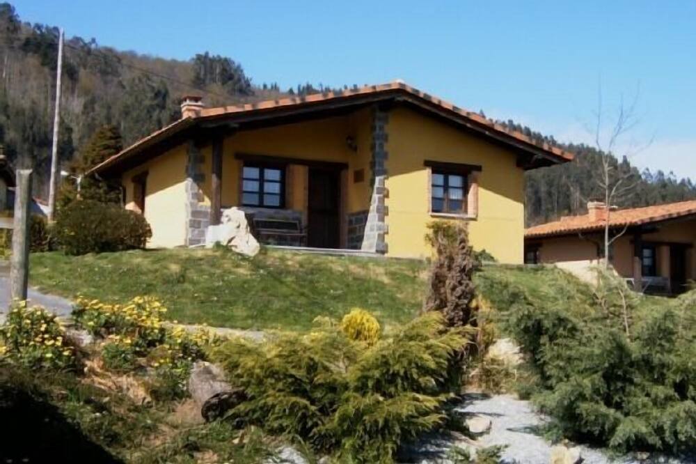 Photo of Outdoor in La Cueva