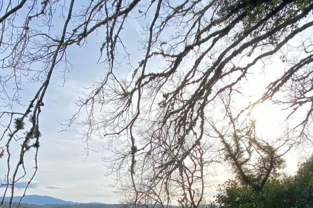 Photo of Outdoor in Parada de Sil
