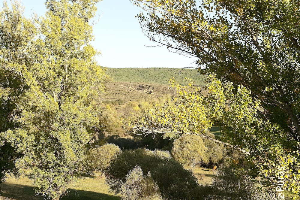 Photo of Outdoor in Benllera