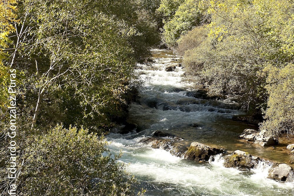 Photo of Outdoor in Benllera