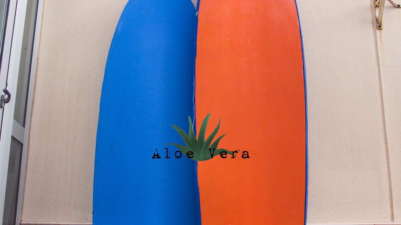Photo of Others in Arenas del Mar