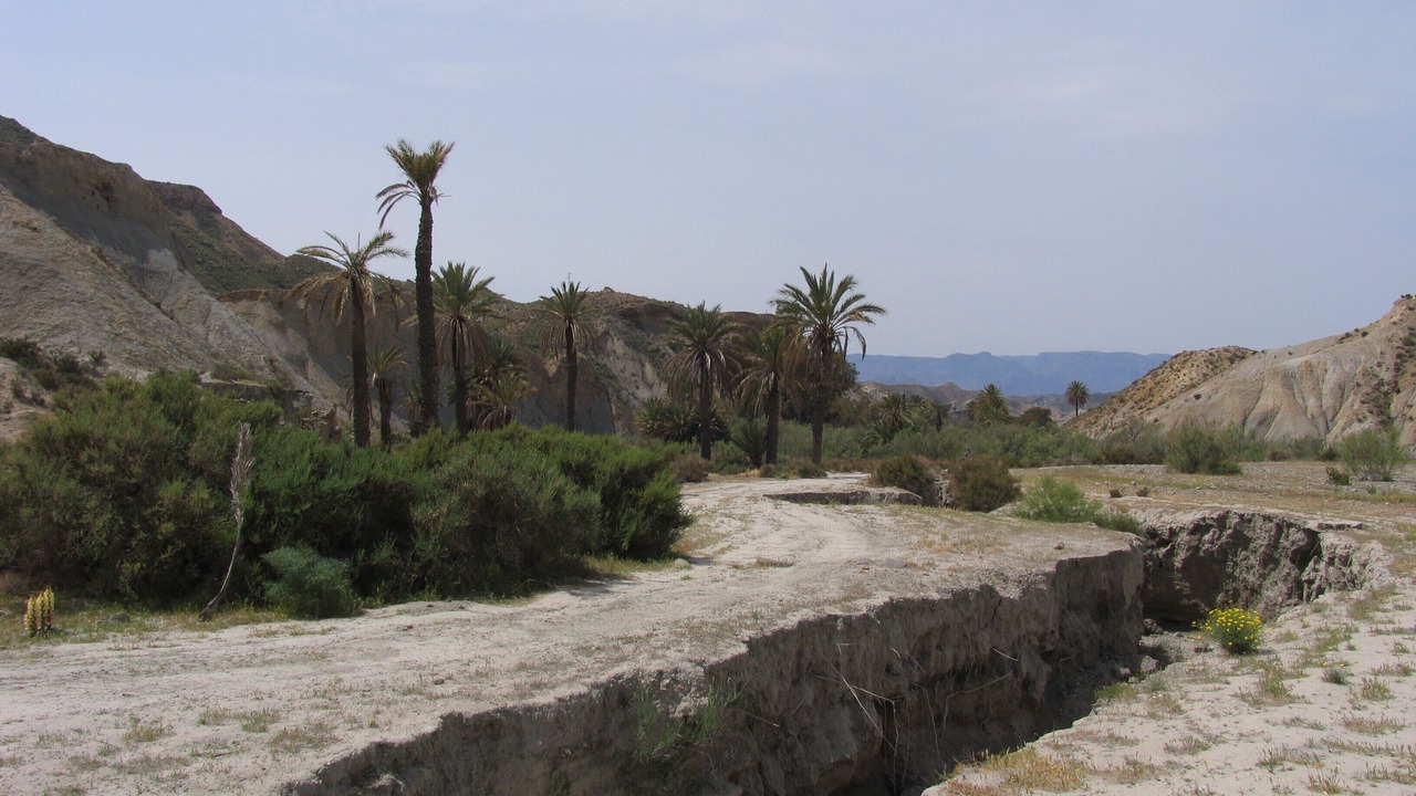 Photo of Others in Carboneras