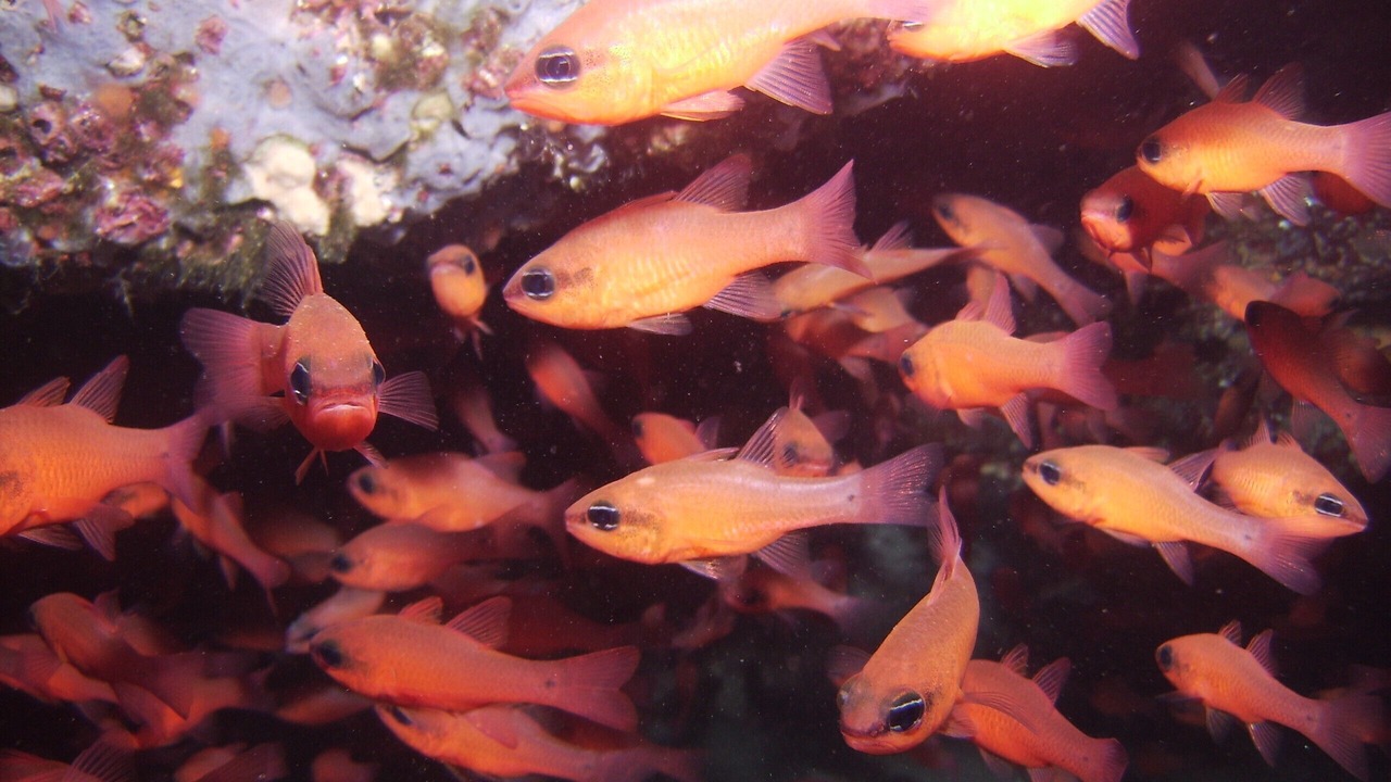 Photo of Outdoor in Carboneras