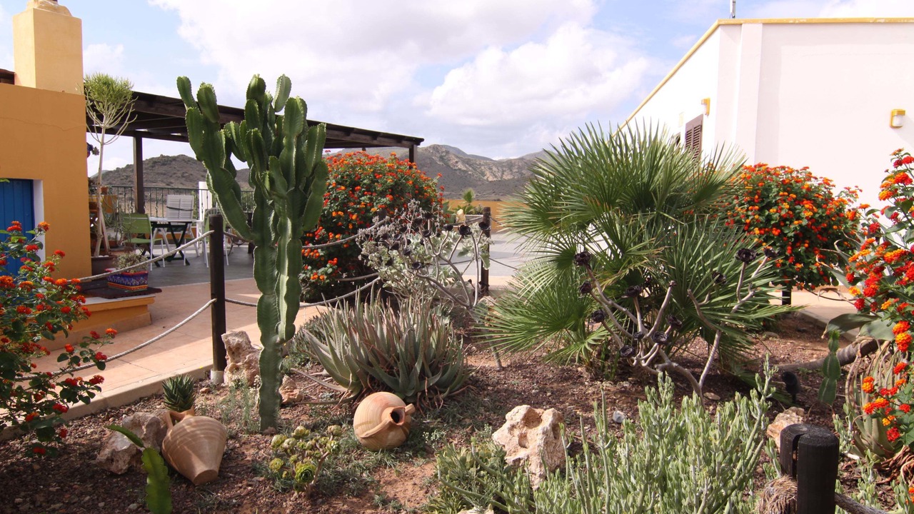 Photo of Outdoor in El Pozo de los Frailes