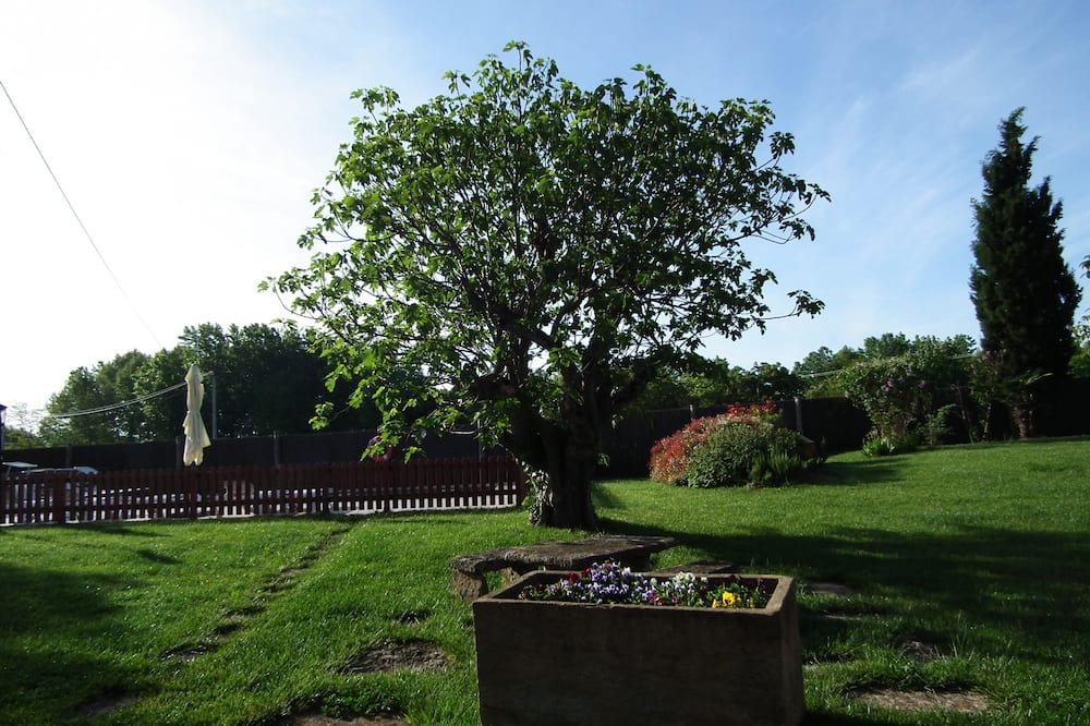 Photo of Outdoor in Corts