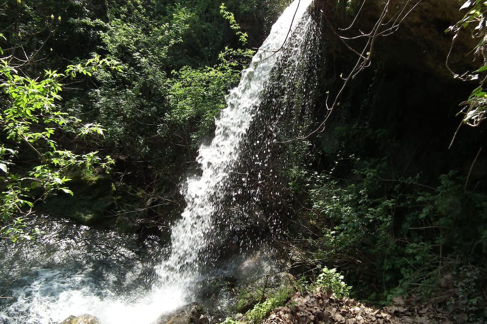 Photo of Outdoor in Corts