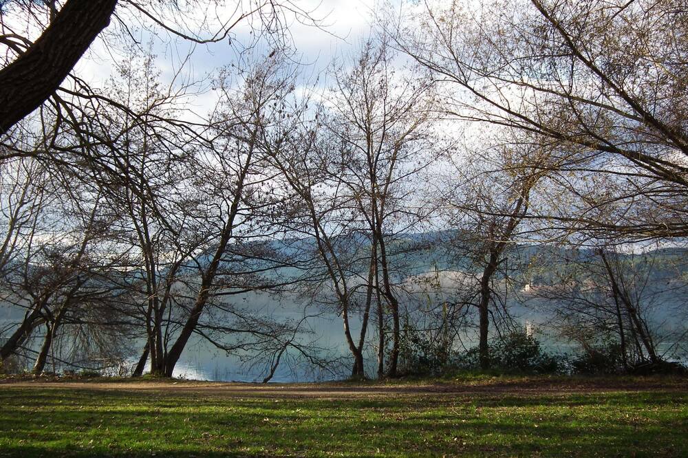 Photo of Outdoor in Corts