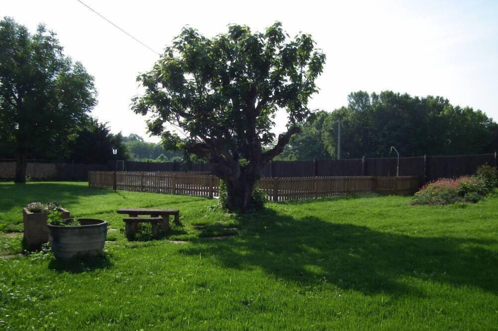 Photo of Outdoor in Corts