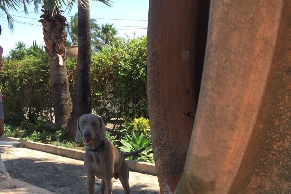 Photo of Outdoor in Paratella